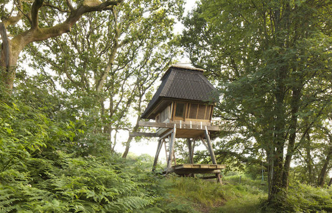 Tiny Hut In The Woods