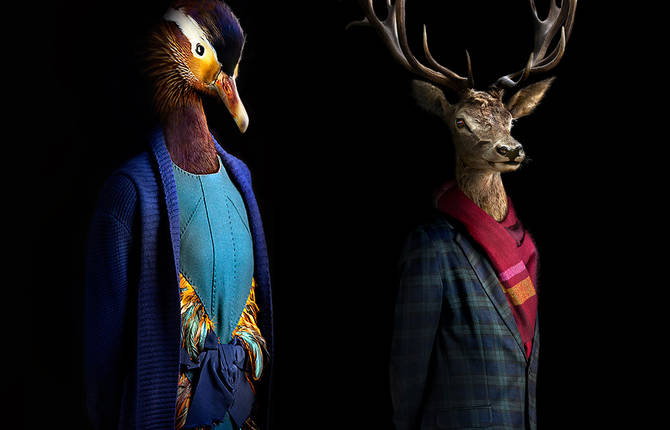 Animals and Flowers Bouquets Dressed Up as Humans