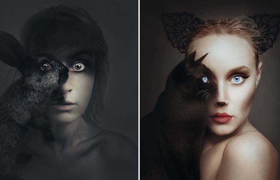 Self Portraits by Replacing an Eye with the one of an Animal