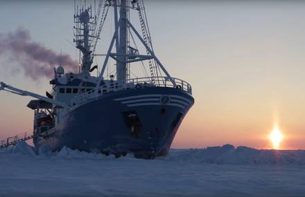 Life on an Arctic Expedition