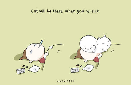 Benefits of Having a Cat