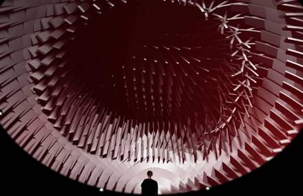 Bio-Inspire Giant Experience