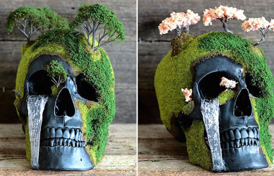 Unique Handmade Bonsai Skulls
