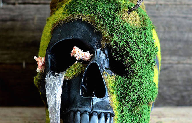 Unique Handmade Bonsai Skulls