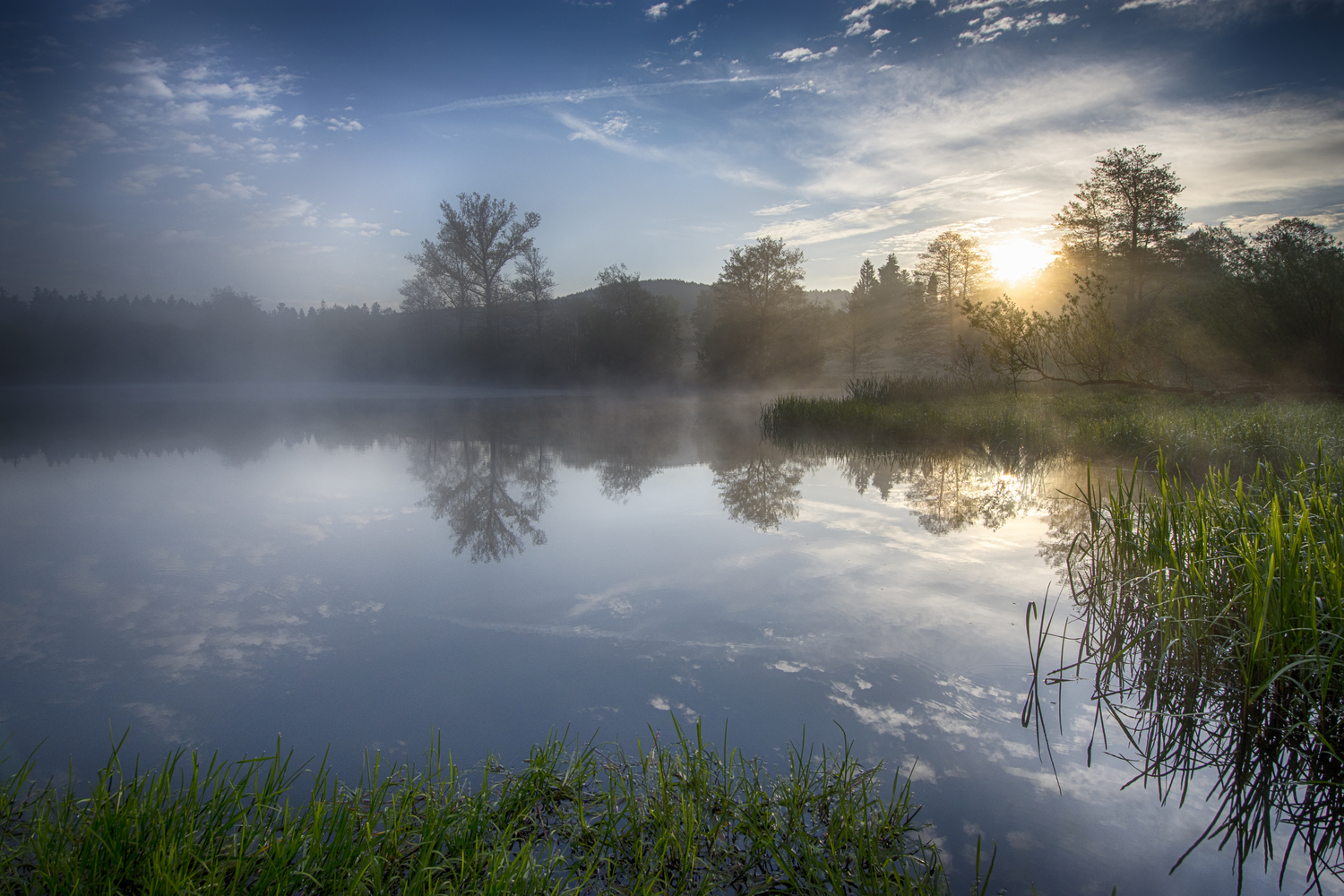 foggylandscapesswitzerland4