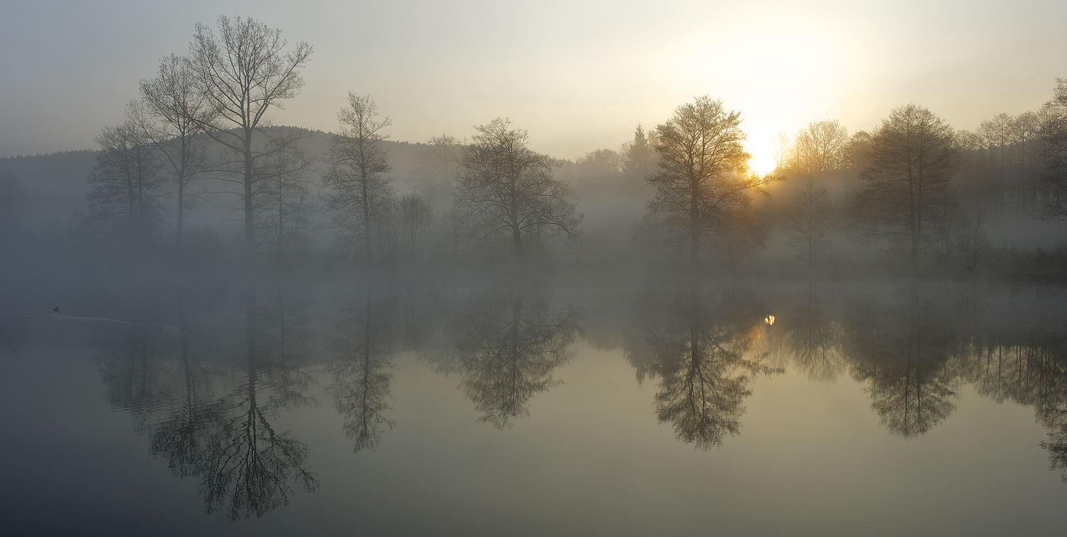 foggylandscapesswitzerland9