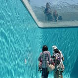 Illusory Swimming Pool that Seems to Be Filled by Water – Fubiz Media