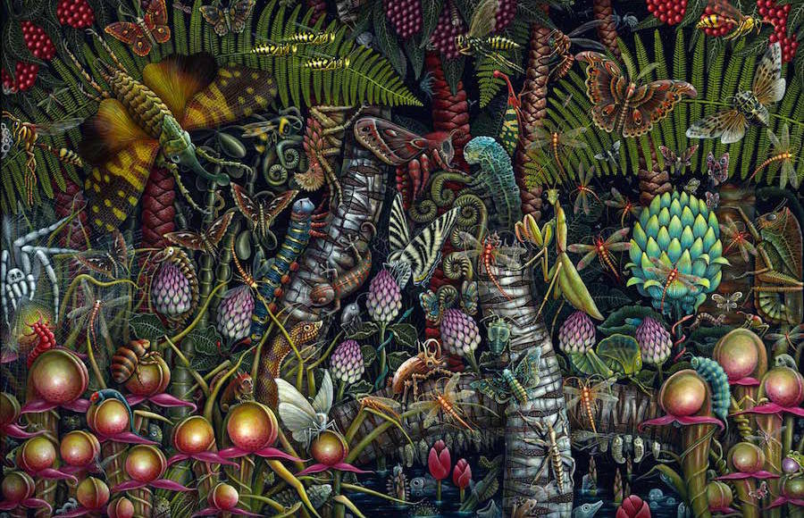 Magical Microscopic Worlds Paintings