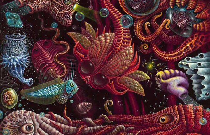 Magical Microscopic Worlds Paintings