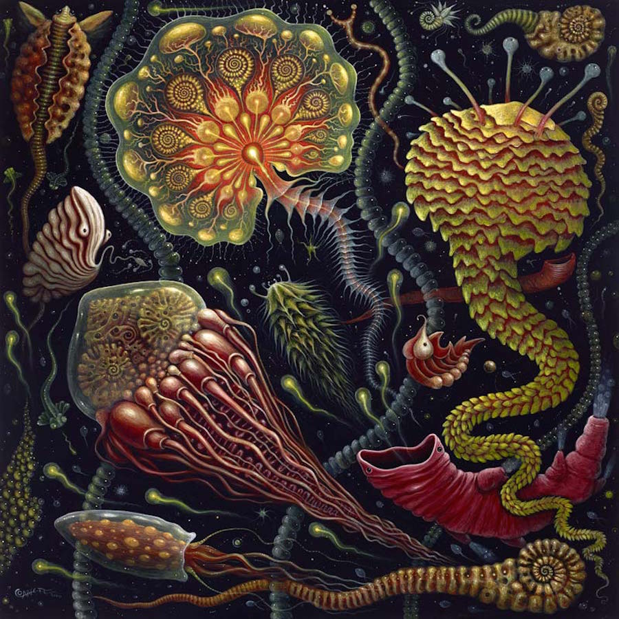 magicalmicroscopicpaintings-2