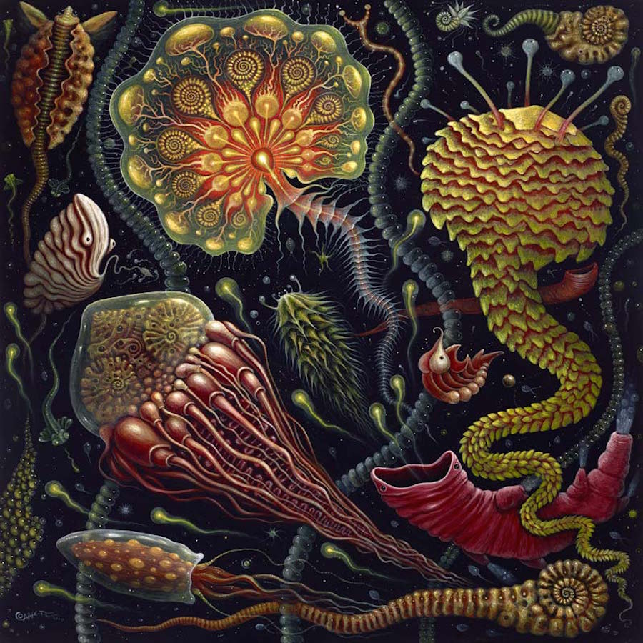 magicalmicroscopicpaintings-2