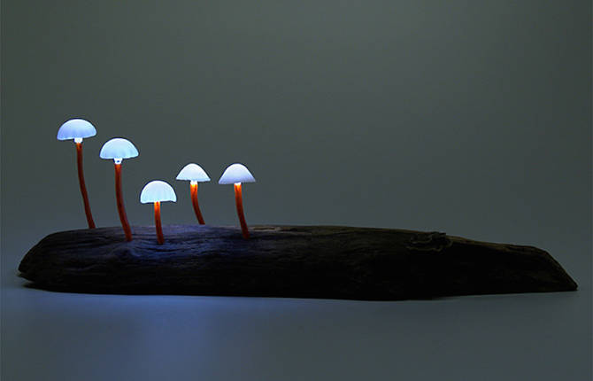 Led Mushroom Lights