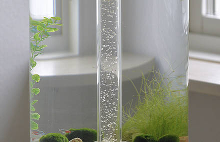 Elegant Swedish Aquarium