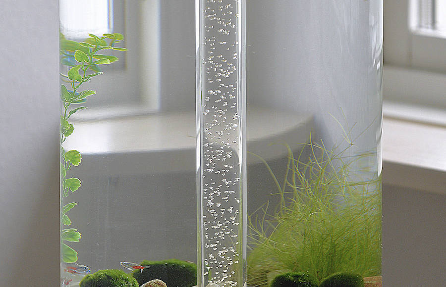Elegant Swedish Aquarium