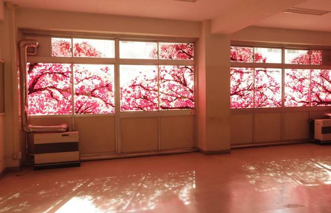 Beautiful Cherry Blossom Murals Made with Hand Prints