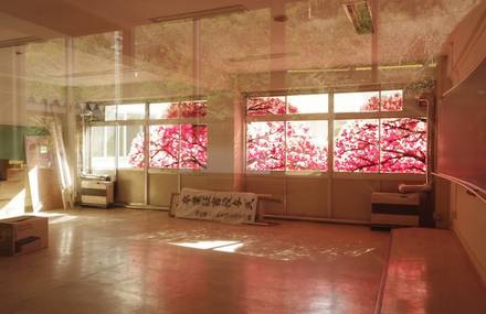 Beautiful Cherry Blossom Murals Made with Hand Prints