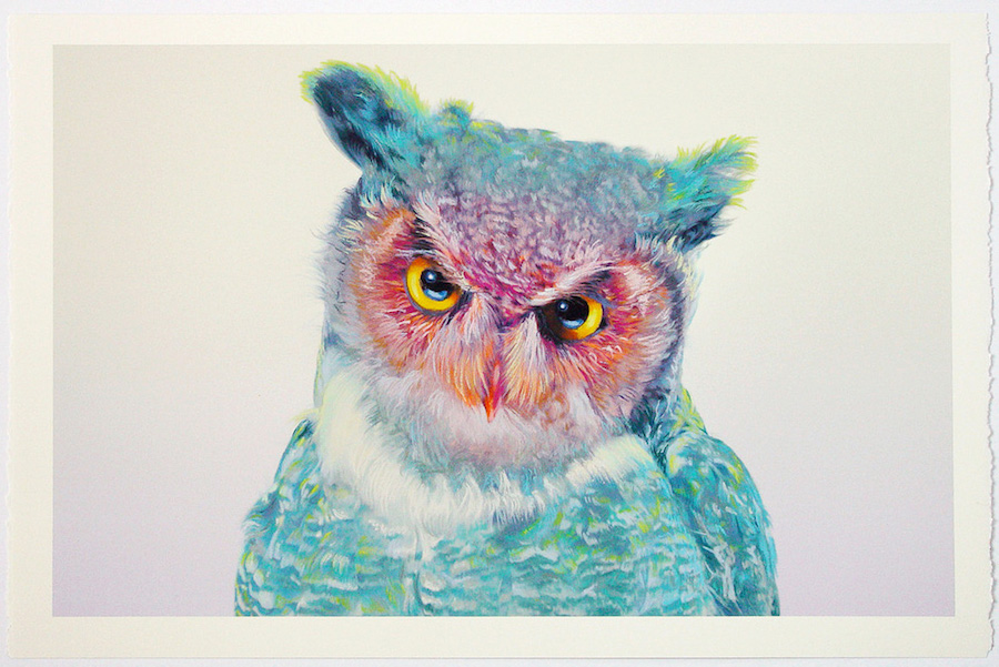 owl-0