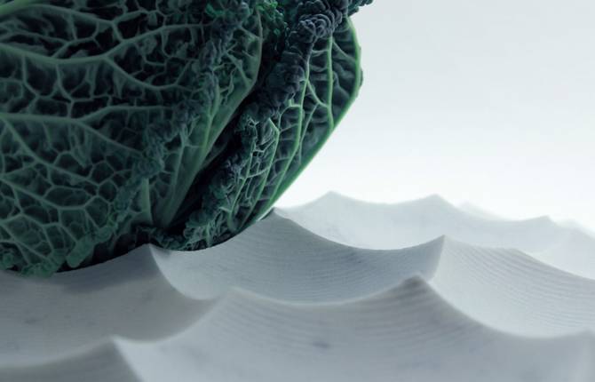 White Design by Shiro Studio