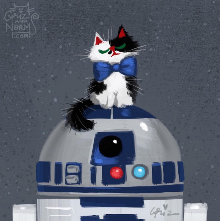 starwarscharacterscats3