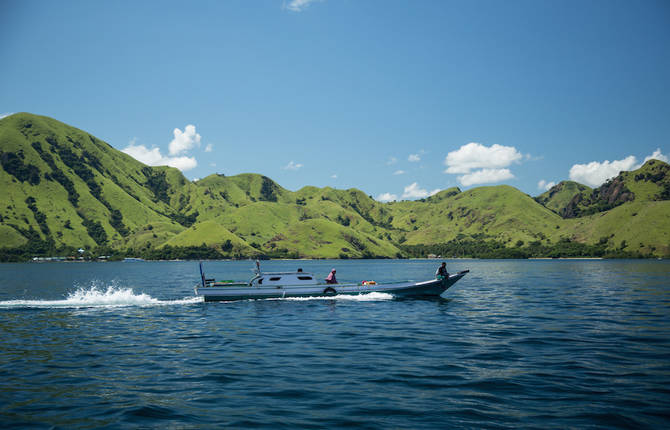 Sublime and Wild South Asian Nature