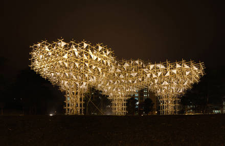 Three Bamboos Installation in China