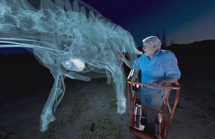 Video : 360° Video with the Largest Dinosaur Ever