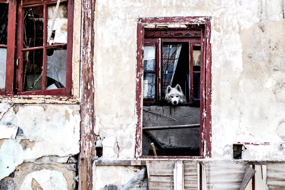 A photographical trip 7