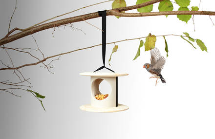 Modular Breakfast Birdhouse