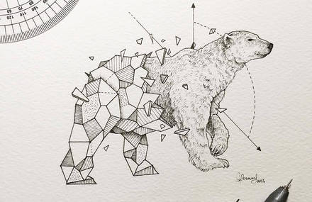 Lovely Half-Geometrical Drawings of Wild Animals