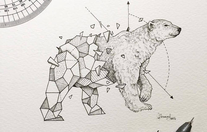 Lovely Half-Geometrical Drawings of Wild Animals