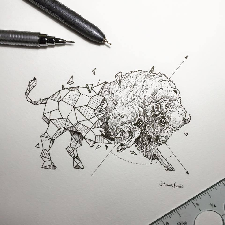 Lovely Half-Geometrical Drawings of Wild Animals 11