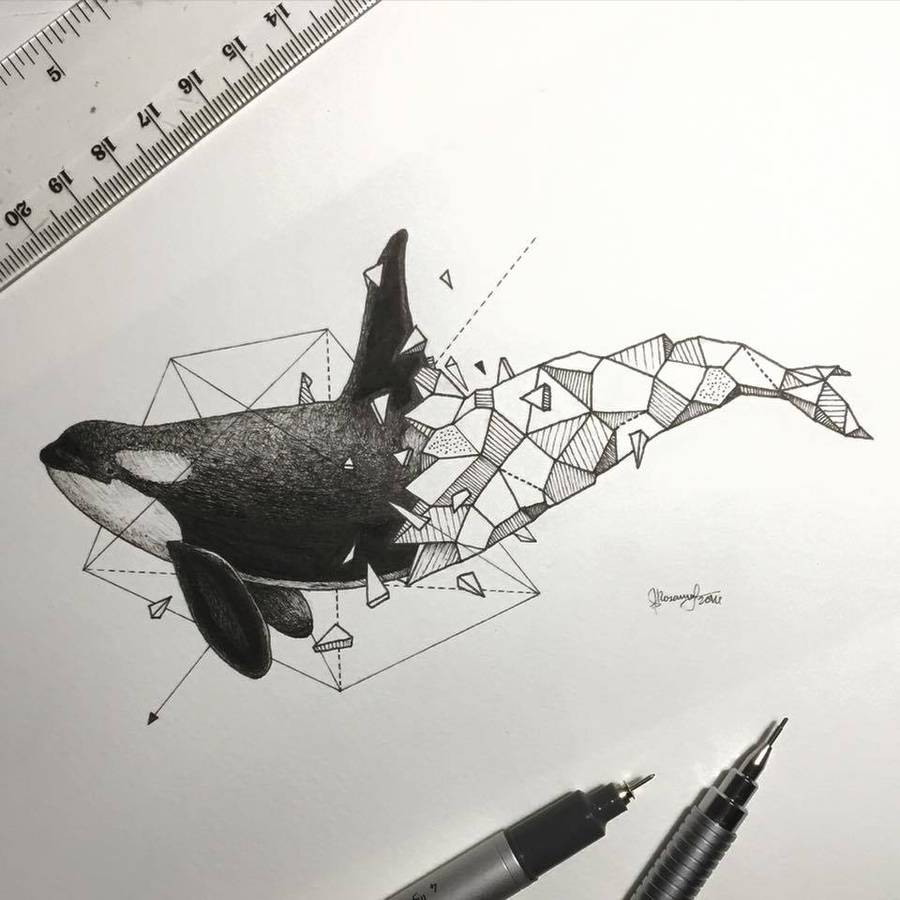 Lovely Half-Geometrical Drawings of Wild Animals – Fubiz Media