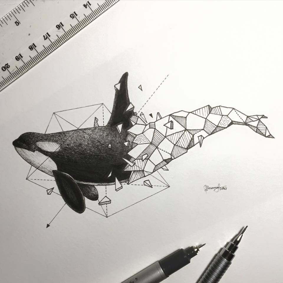 Lovely Half-Geometrical Drawings of Wild Animals 12
