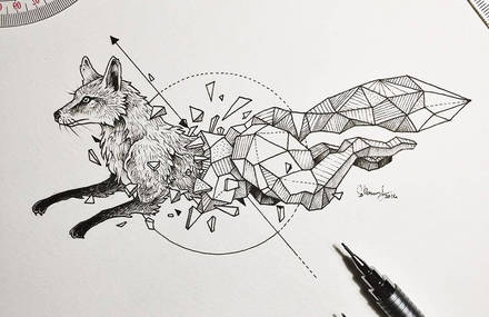 Lovely Half-Geometrical Drawings of Wild Animals