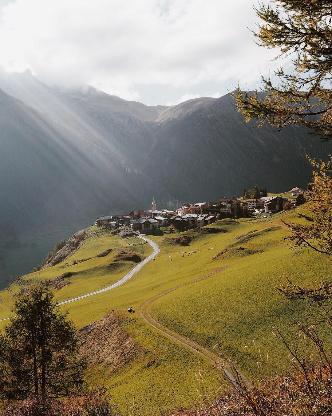 Photographical Journey Through the Beauty of Switzerland 10