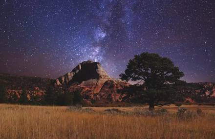 Spectacular Starry Night in Zion National Park
