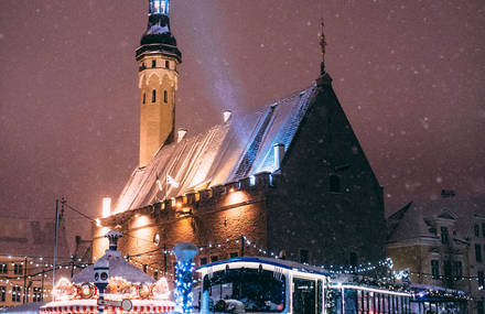 Splendid Pictures of Tallinn in the Blizzard