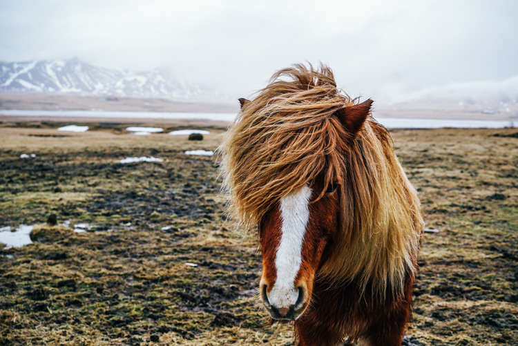 Sumptuous Pictures of Northern Landscapes by Hunter Lawrence 9