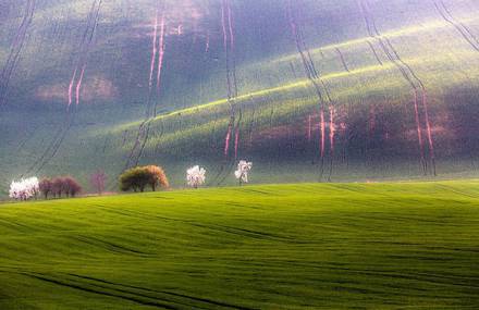 Surprising Wavy Photographs of European Fields