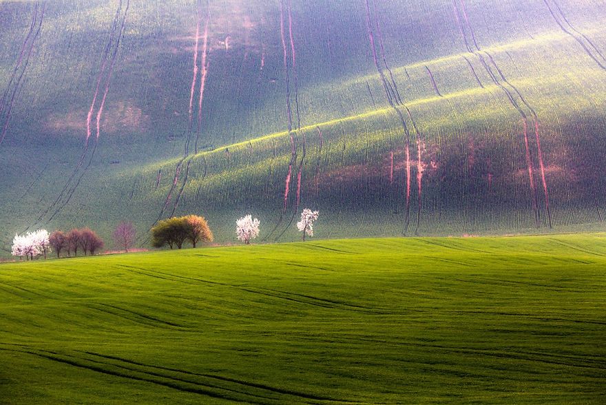 Surprising Wavy Photography of European Fields 1