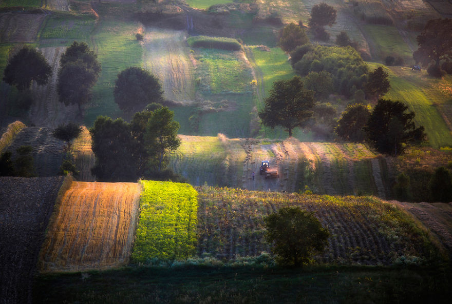 Surprising Wavy Photography of European Fields 11