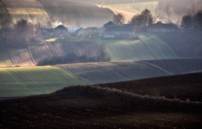 Surprising Wavy Photographs of European Fields