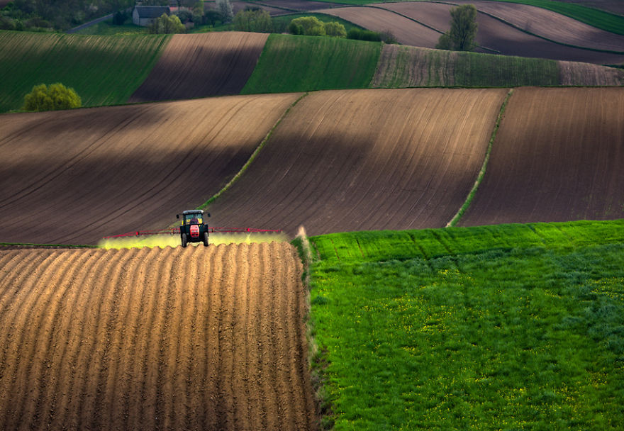 Surprising Wavy Photography of European Fields 3