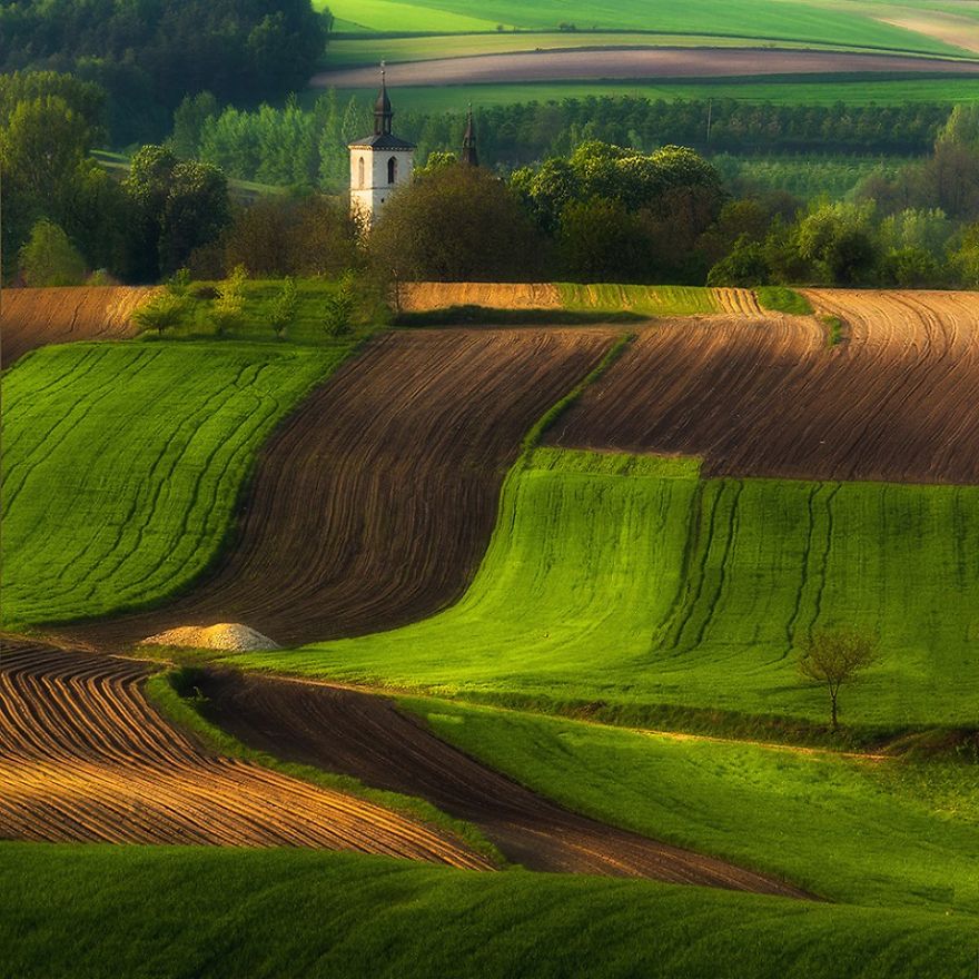 Surprising Wavy Photography of European Fields 5