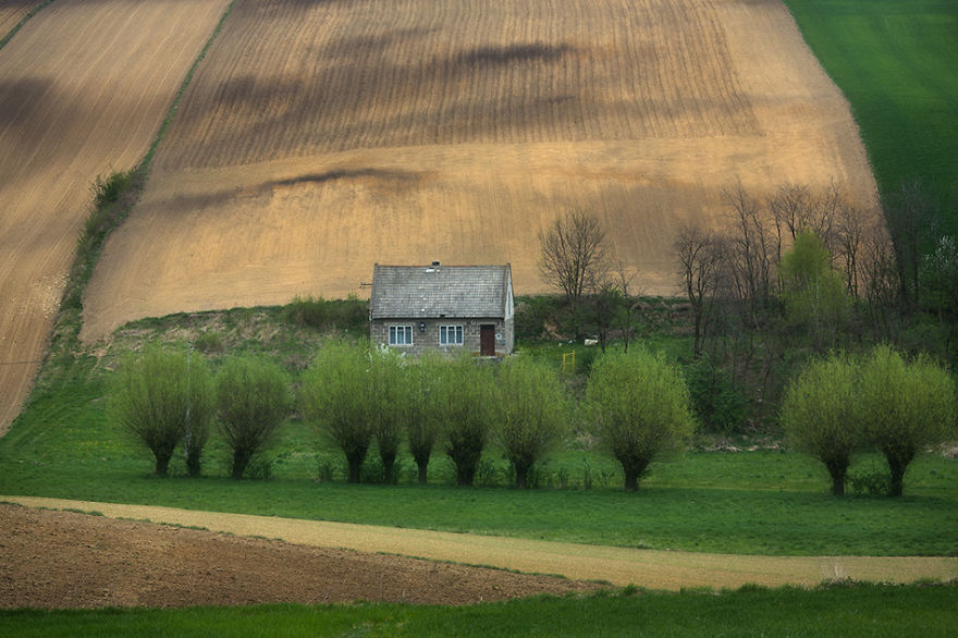 Surprising Wavy Photography of European Fields 7