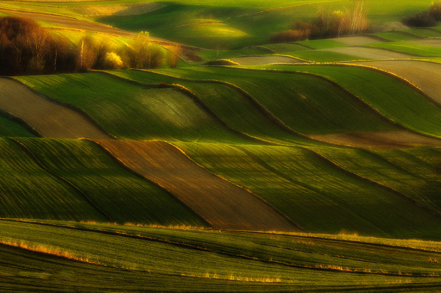 Surprising Wavy Photography of European Fields 8