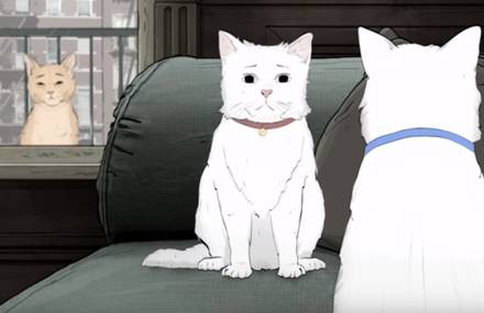 HBO&rsquo;s Animals Trailer