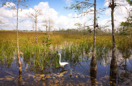 Astonishing United States Landscapes