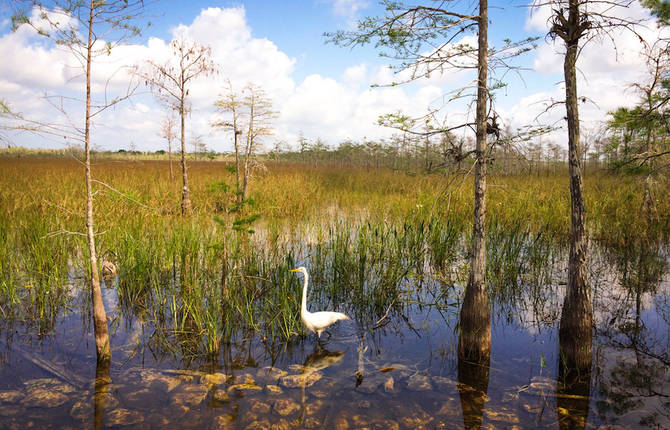 Astonishing United States Landscapes