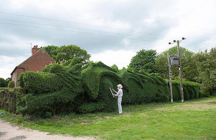 Beautiful Giant Dragon in an English Garden